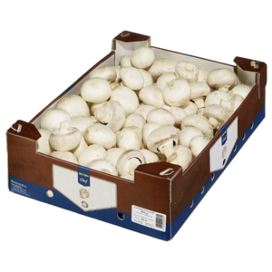 CHAMPIGIONS 3KG