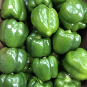 GROEN PAPRIKA 5KG